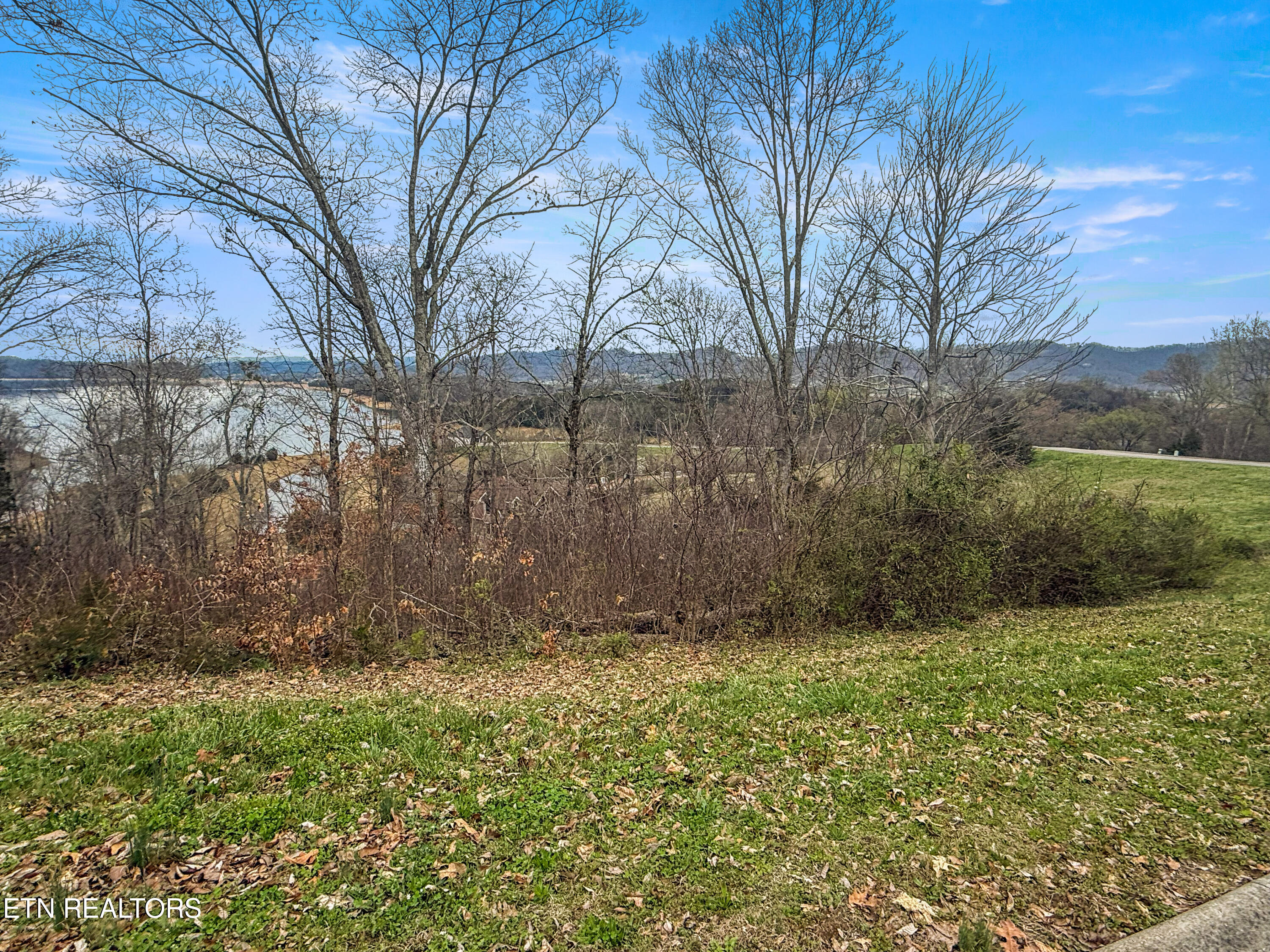 2021 Turner Landing Road Russellville, TN 37860 - Photo 6 of 25 IMG_4465