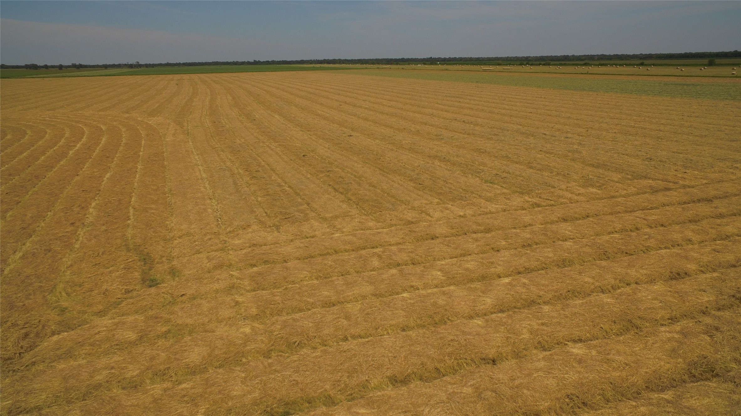 4950 Donaldson Road Wharton, TX 77488 - Photo 6 of 17 Ready to bale