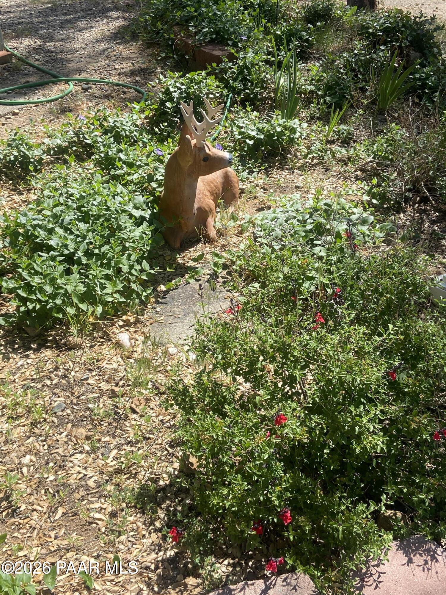 700 White Spar Road, Unit 36 Prescott, AZ 86303 - Photo 5 of 22 Front Garden