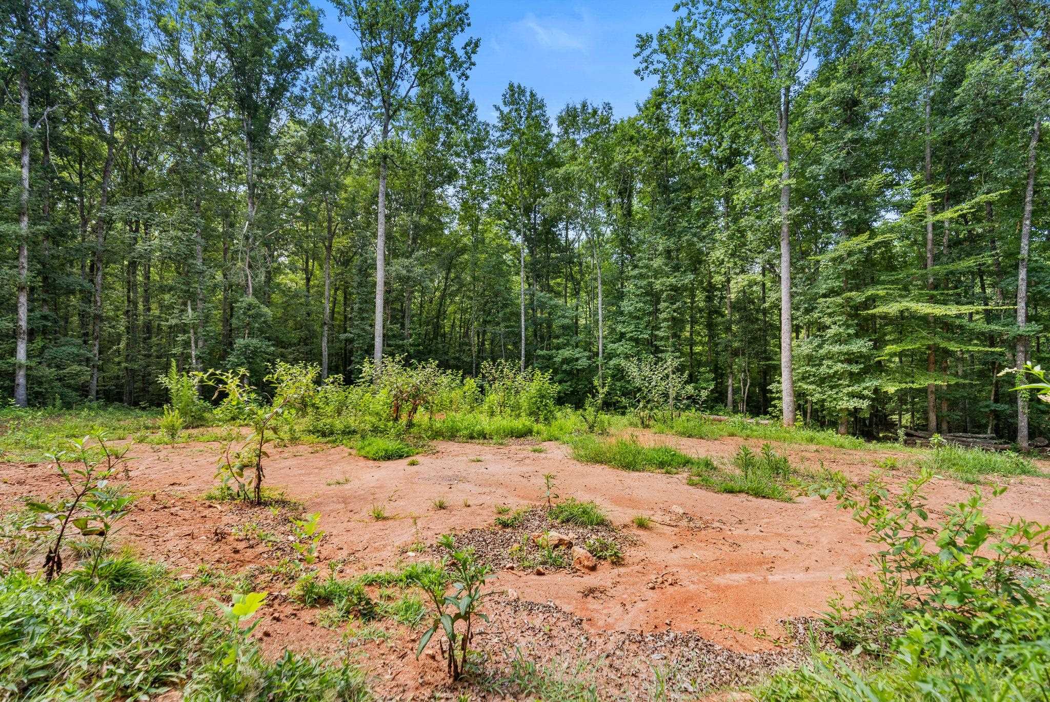 637 Odell Road Liberty, SC 29657 - Photo 17 of 19