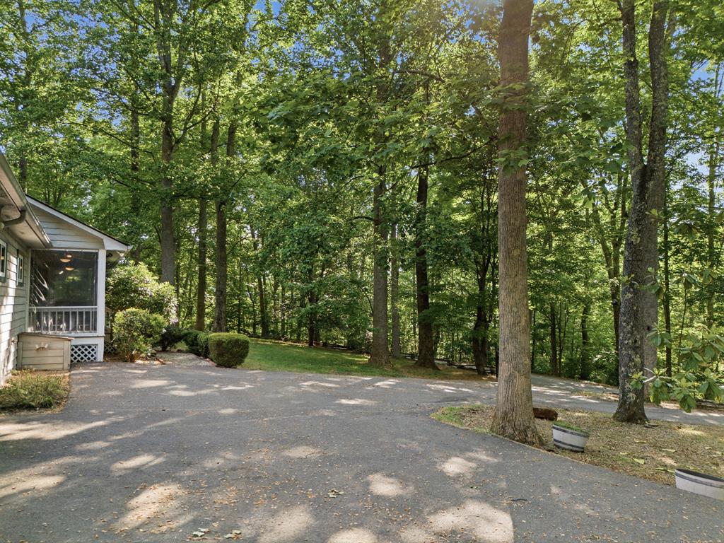 1677 Long Ridge Road Hiawassee, GA 30546 - Photo 4 of 55 Gallery Image 4