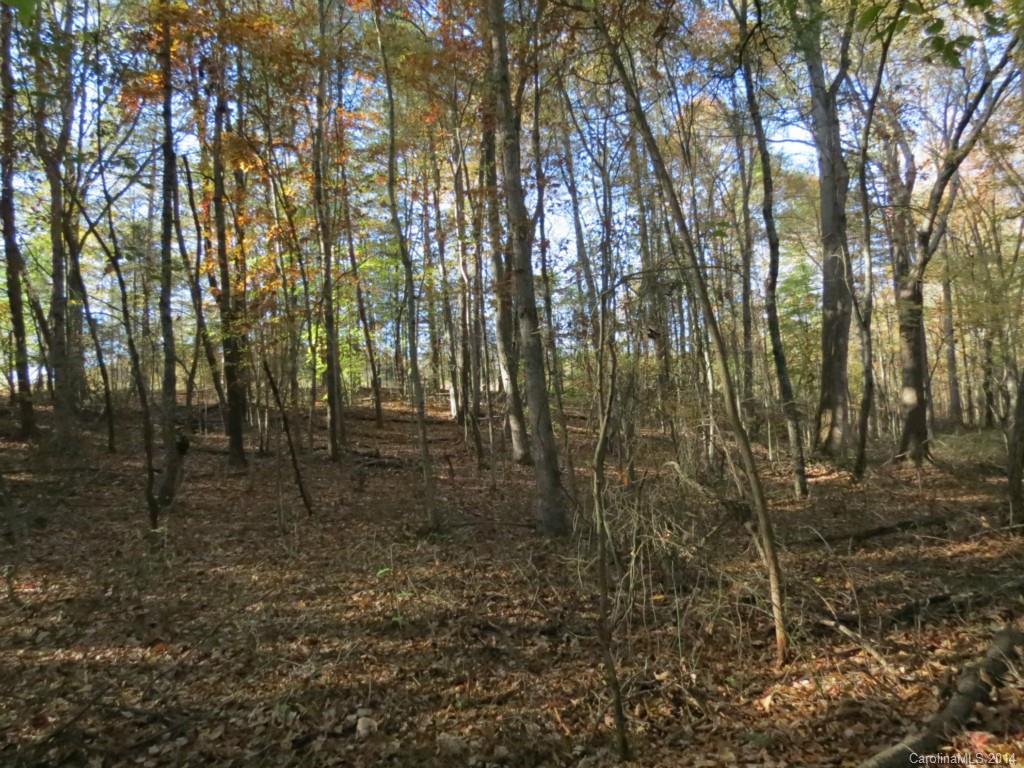 41.4-ac Owens Road York, SC 29745 - Photo 12 of 18