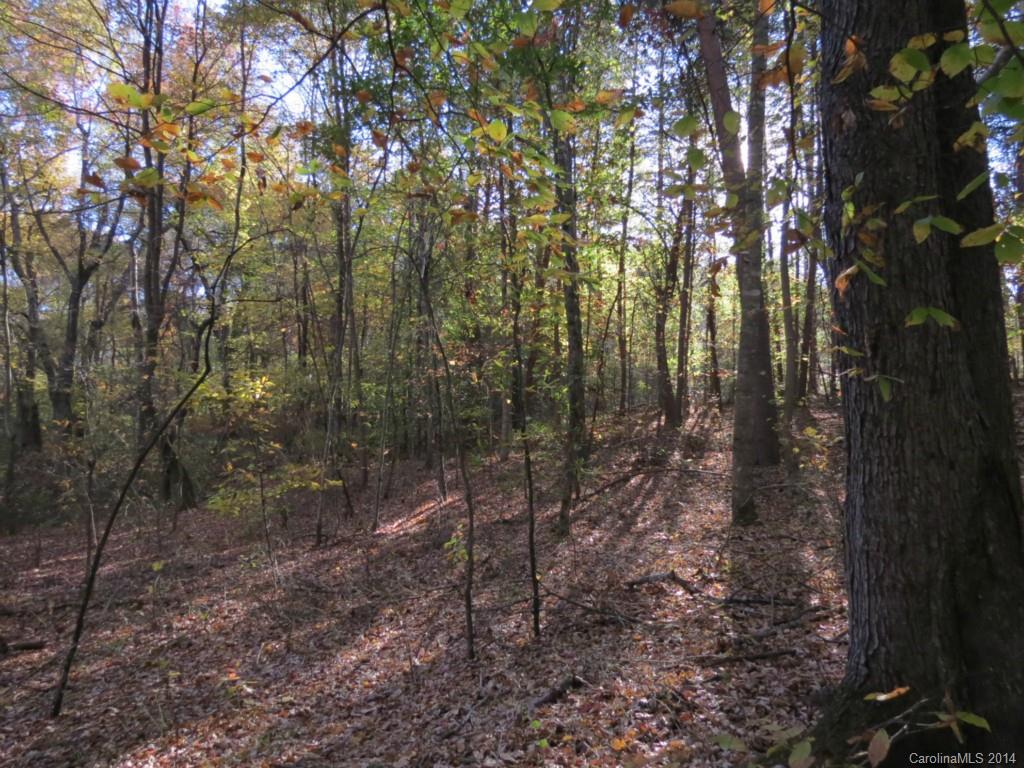 41.4-ac Owens Road York, SC 29745 - Photo 13 of 18