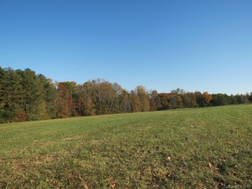 41.4-ac Owens Road York, SC 29745 - Photo 14 of 18