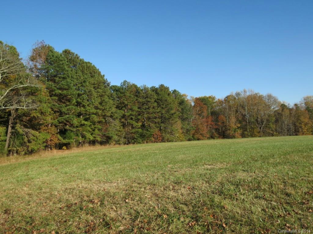 41.4-ac Owens Road York, SC 29745 - Photo 15 of 18