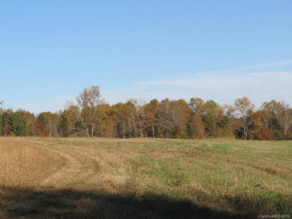 41.4-ac Owens Road York, SC 29745 - Photo 6 of 18