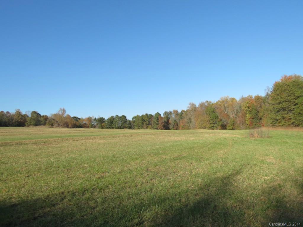 41.4-ac Owens Road York, SC 29745 - Photo 7 of 18