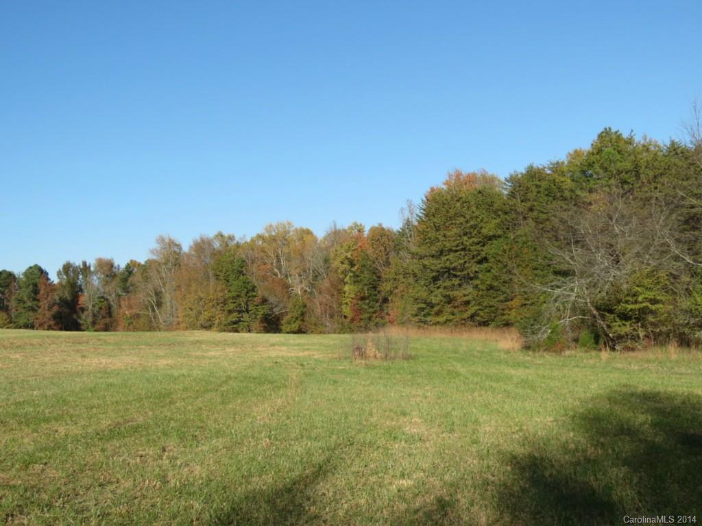 41.4-ac Owens Road York, SC 29745 - Photo 9 of 18