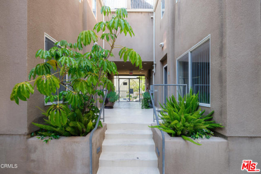 10918 Morrison Street, Unit 12 North Hollywood, CA 91601 - Photo 4 of 28 a potted plant sitting in front of a house