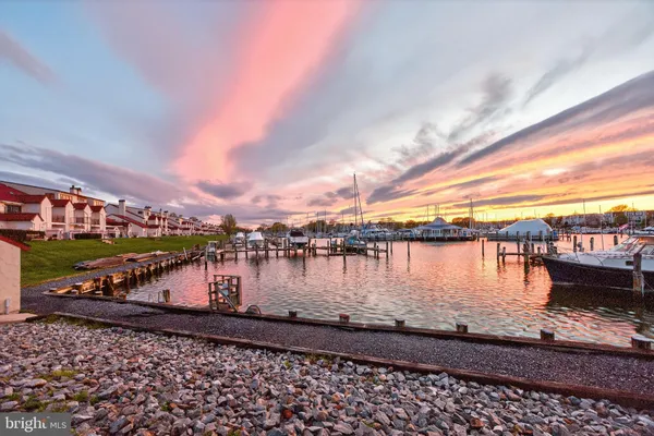 a lake with boats and trees