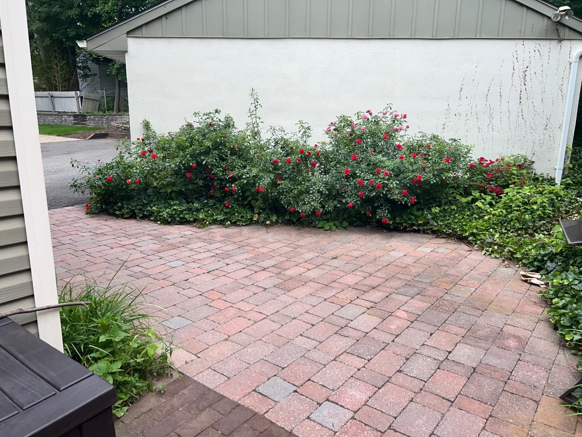 45 Garfield Place, Unit 1 (1ST FLOOR) Ridgewood, NJ 07450 - Photo 28 of 33