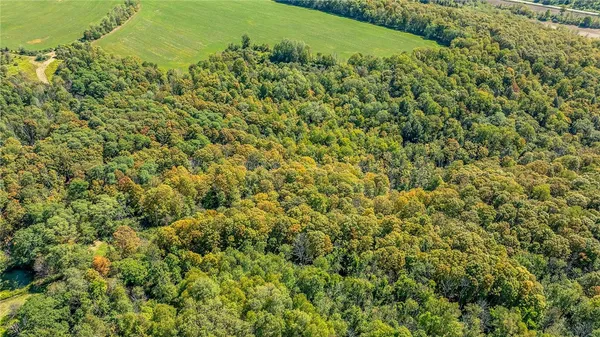 $69,900 | 10373 Lookout, Prattsburgh, NY 14873