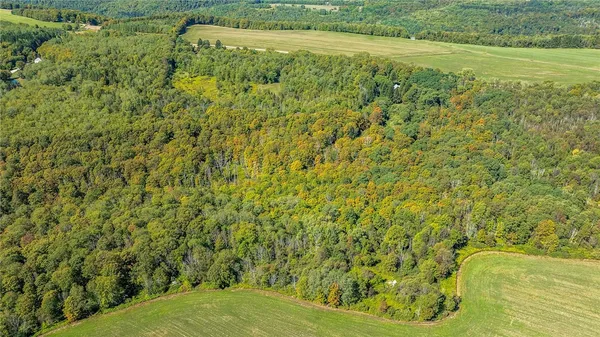 $69,900 | 10373 Lookout, Prattsburgh, NY 14873