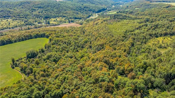 $69,900 | 10373 Lookout, Prattsburgh, NY 14873