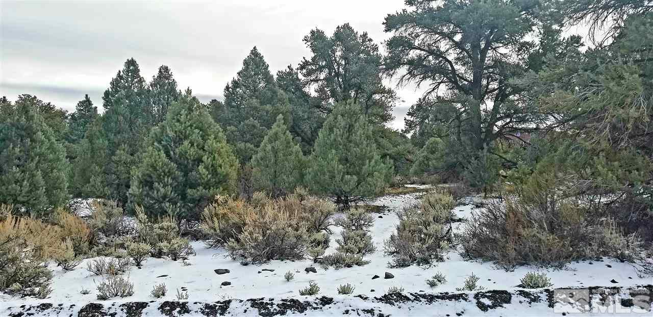 2221 Enterprise Road, Unit 58 Reno, NV 89521 - Photo 1 of 12 a view of a forest with trees