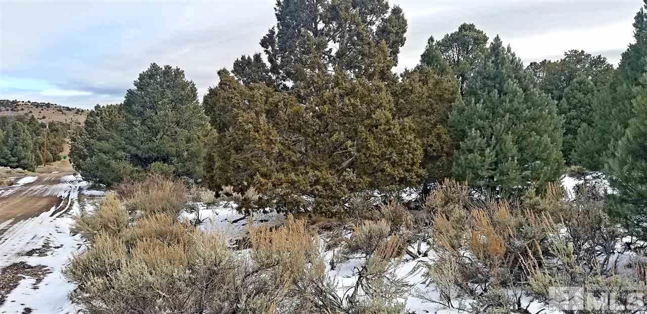 2221 Enterprise Road, Unit 58 Reno, NV 89521 - Photo 6 of 12 a view of a tree in a field of the house