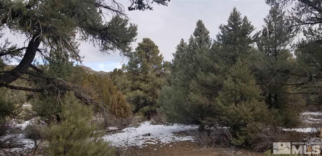 2221 Enterprise Road, Unit 58 Reno, NV 89521 - Photo 7 of 12 a view of a dry yard with trees