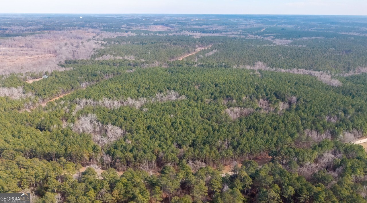 0 St Mary's Road Southwest, Unit A Crawfordville, GA 30631 - Photo 3 of 14