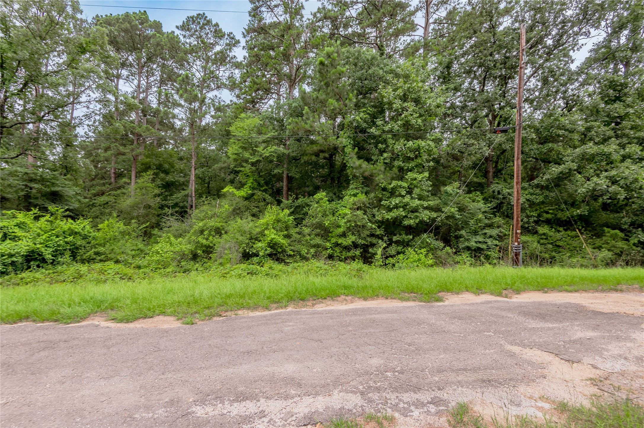 Lot 57 Post Oak Circle Trinity, TX 75862 - Photo 6 of 29