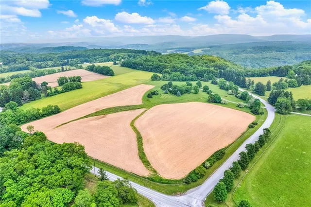 an aerial view of a swimming pool with a yard