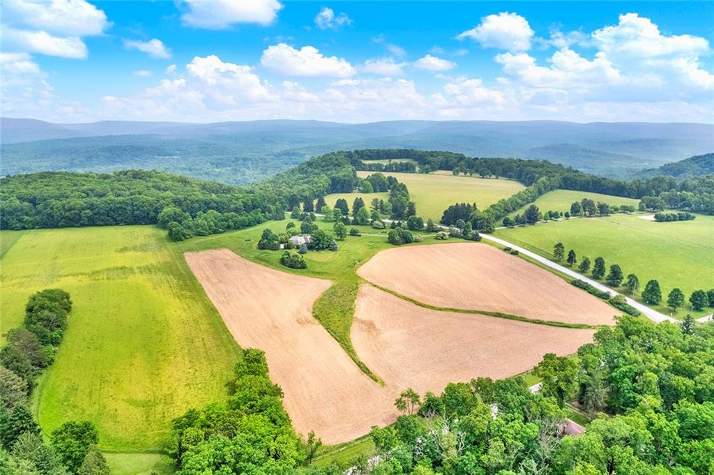 274 Rector Road Rector, PA 15677 - Photo 46 of 50 an aerial view of a swimming pool with a yard