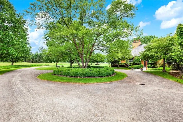a view of a grassy field with trees in the background