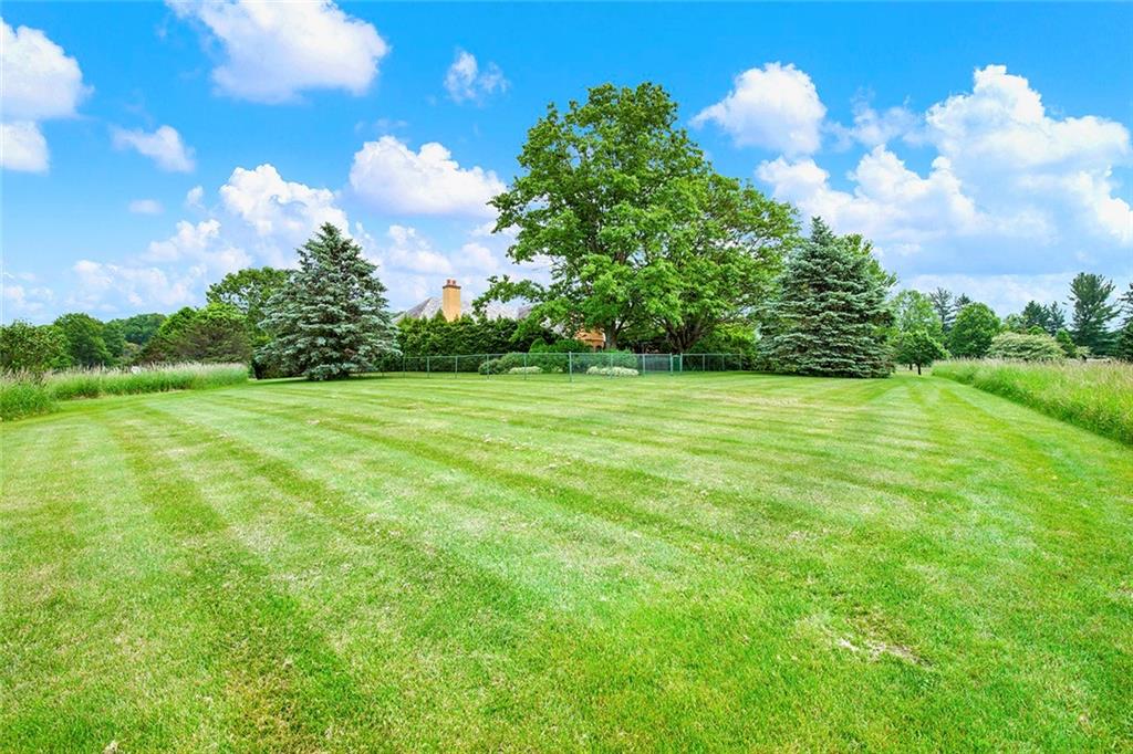 274 Rector Road Rector, PA 15677 - Photo 48 of 50 a view of a grassy field with trees in the background