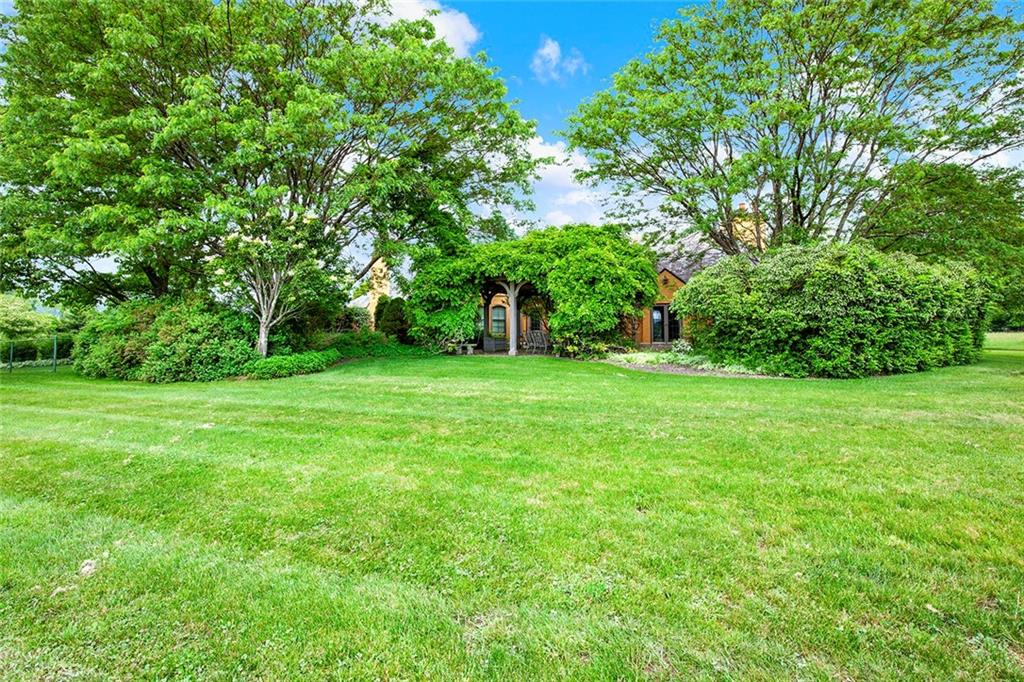 274 Rector Road Rector, PA 15677 - Photo 49 of 50 a view of a grassy field with trees in the background