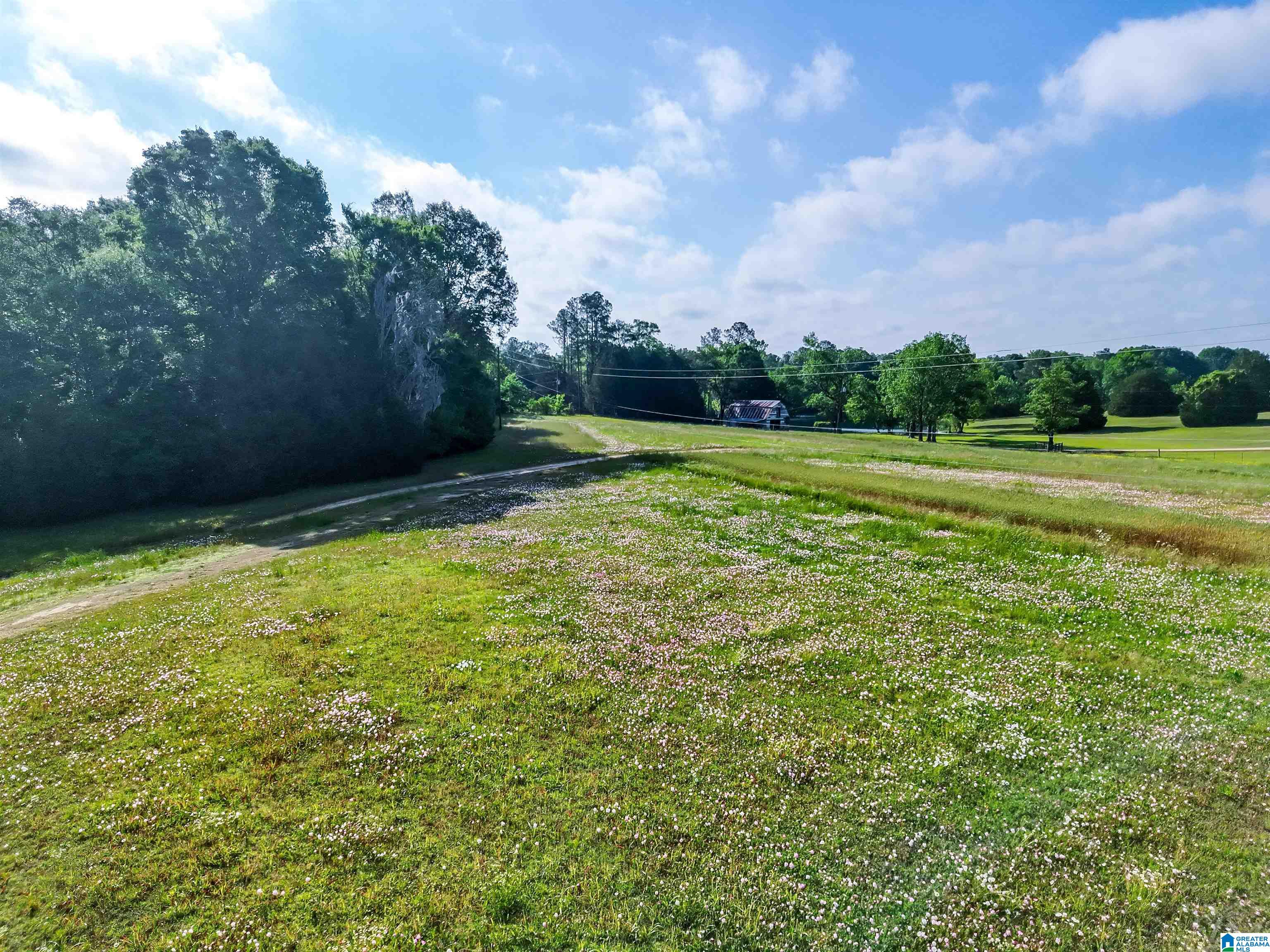 80 Brady Road, Unit 1 Hope Hull, AL 36043 - Photo 7 of 20