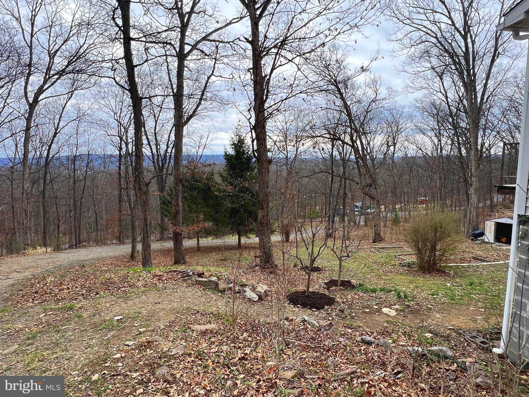 2932 Kerns School Road Springfield, WV 26763 - Photo 35 of 52 a backyard of a house with lots of green space
