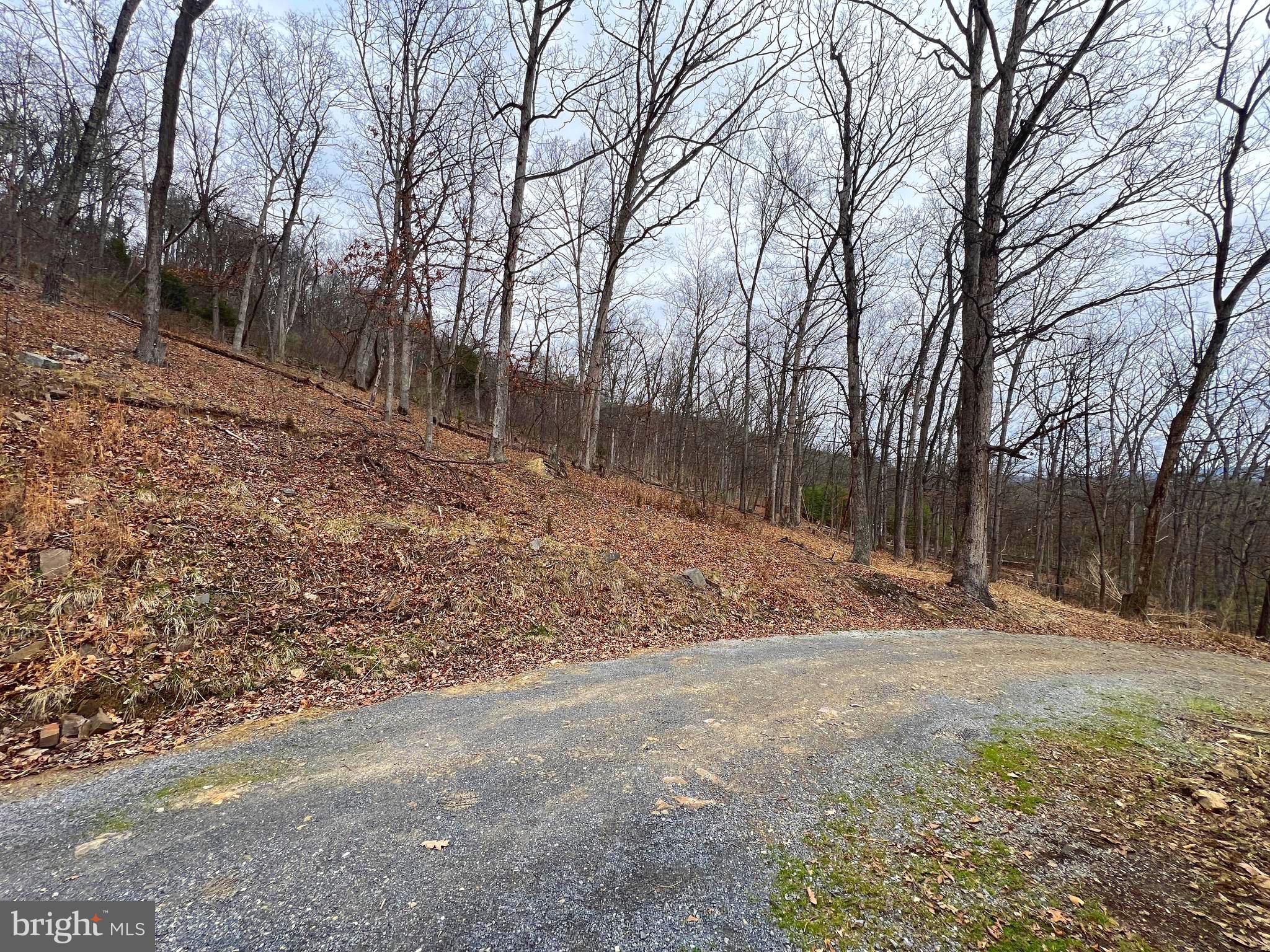 2932 Kerns School Road Springfield, WV 26763 - Photo 36 of 52 a backyard of a house with lots of green space
