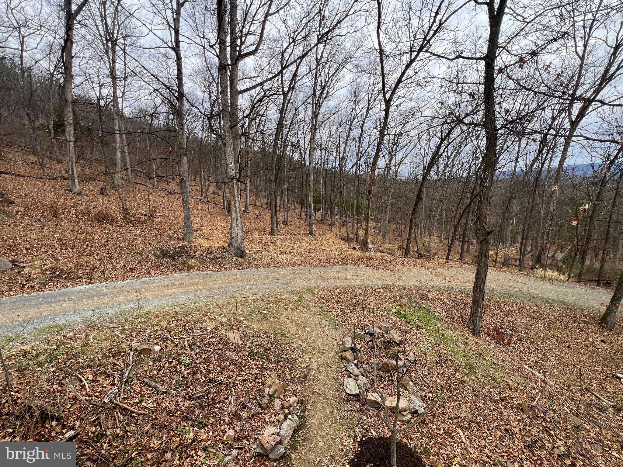 2932 Kerns School Road Springfield, WV 26763 - Photo 39 of 52 a view of a yard with trees