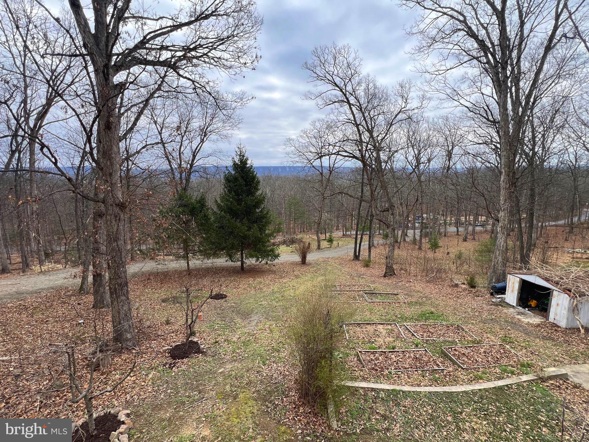 2932 Kerns School Road Springfield, WV 26763 - Photo 40 of 52 a view of a yard with a tree