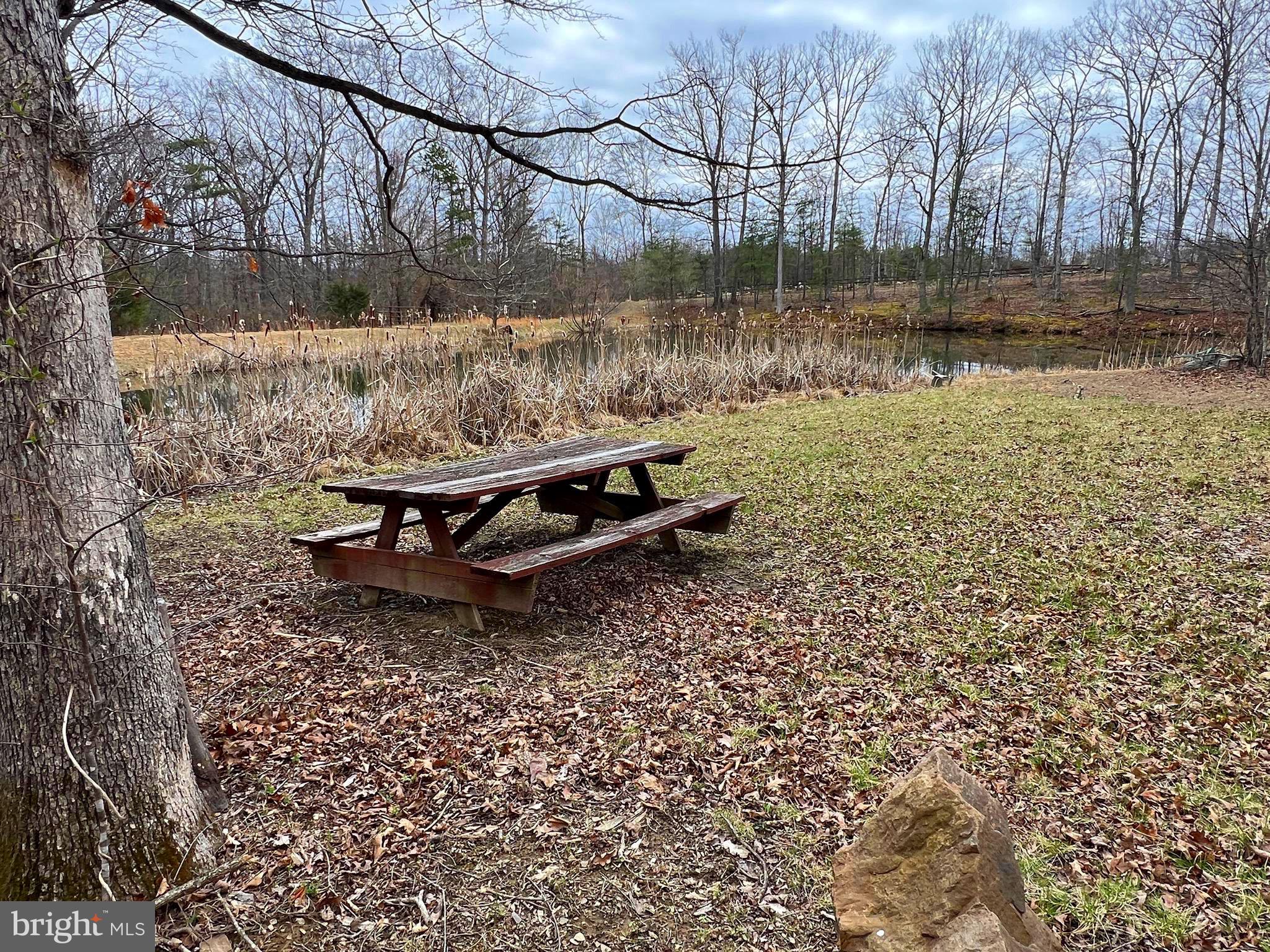 2932 Kerns School Road Springfield, WV 26763 - Photo 49 of 52 a backyard of a house with lots of green space and fountain