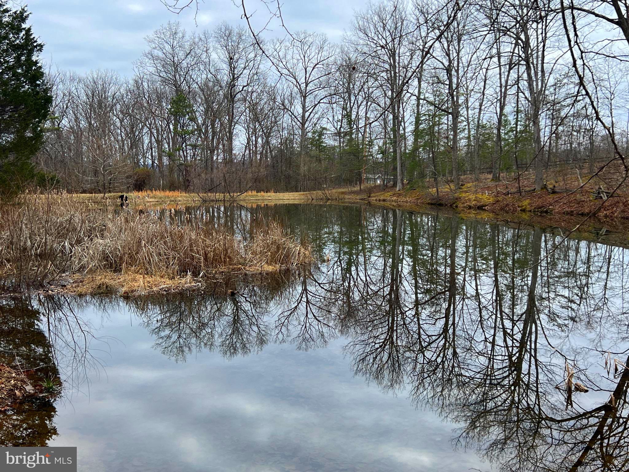 2932 Kerns School Road Springfield, WV 26763 - Photo 50 of 52