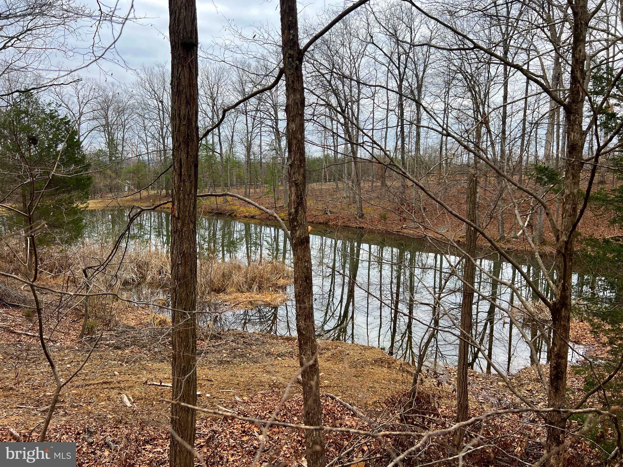 2932 Kerns School Road Springfield, WV 26763 - Photo 51 of 52