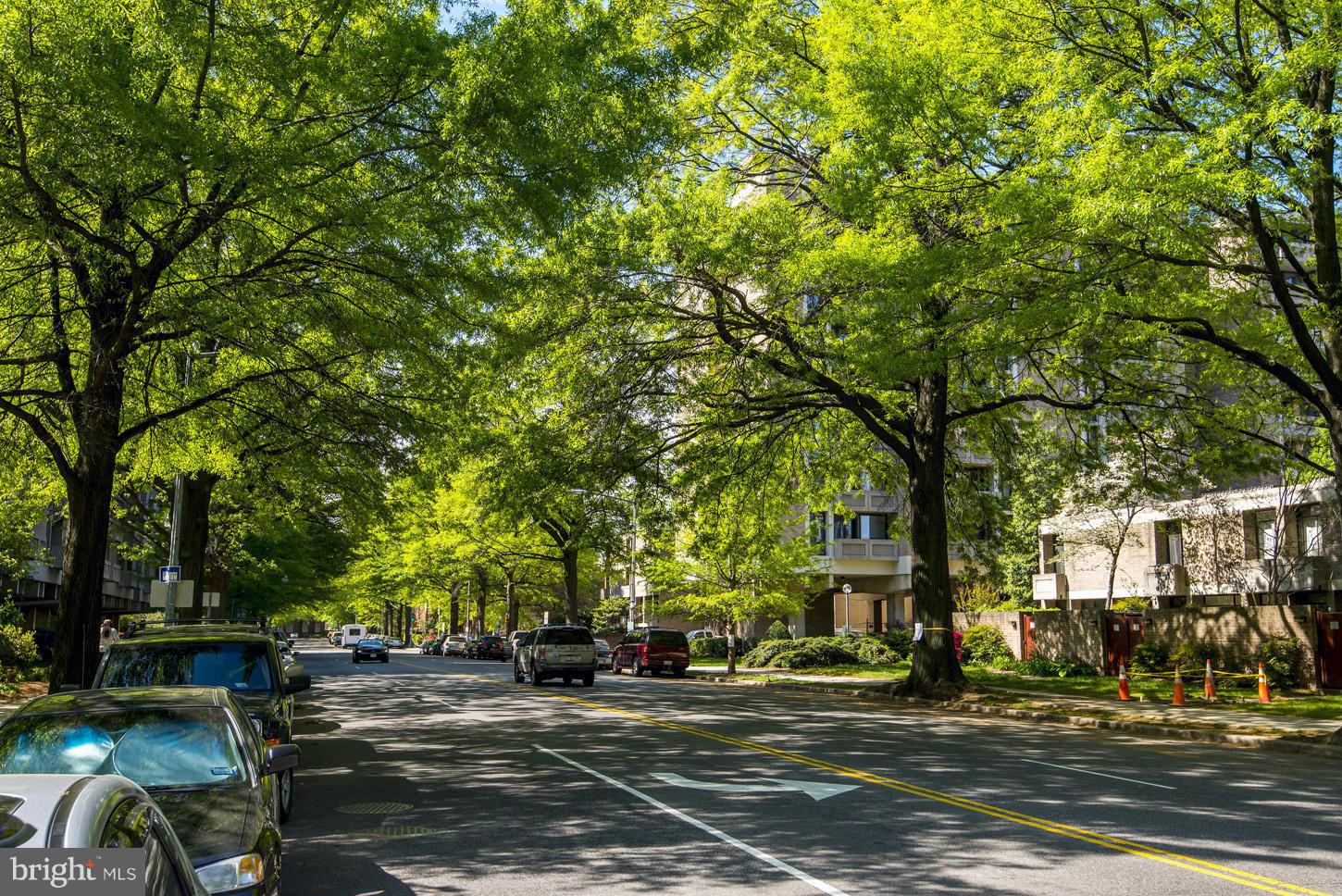 1250 4th Street Southwest, Unit W614 Washington, DC 20024 - Photo 21 of 22 a city view with tall trees