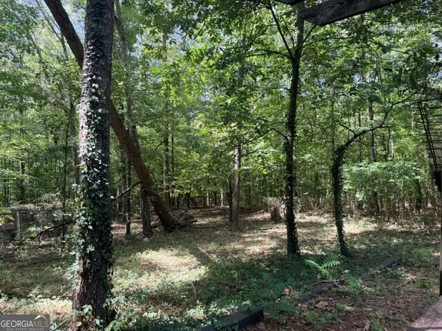 214 West Grantville Road Grantville, GA 30220 - Photo 31 of 33 Gallery Image 31