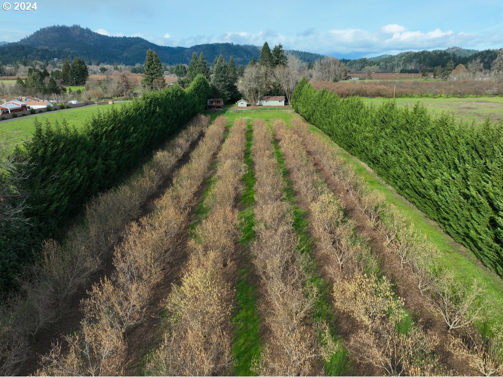 1022 Big Bend Road Roseburg, OR 97471 - Photo 27 of 32 Gallery Image 27
