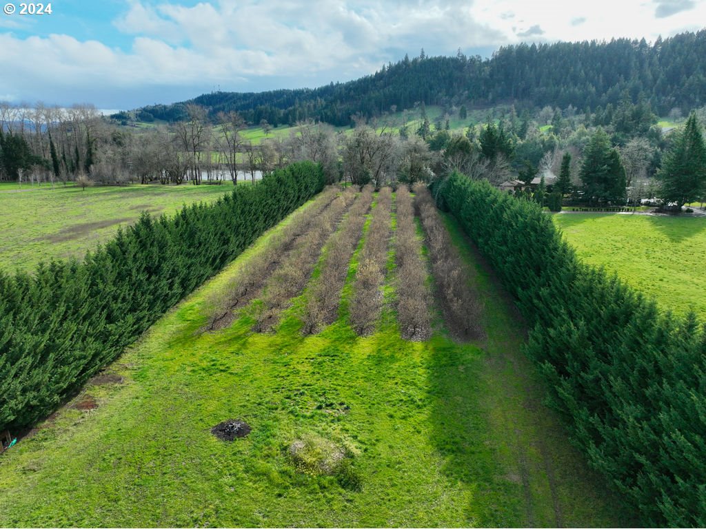 1022 Big Bend Road Roseburg, OR 97471 - Photo 28 of 32 Gallery Image 28