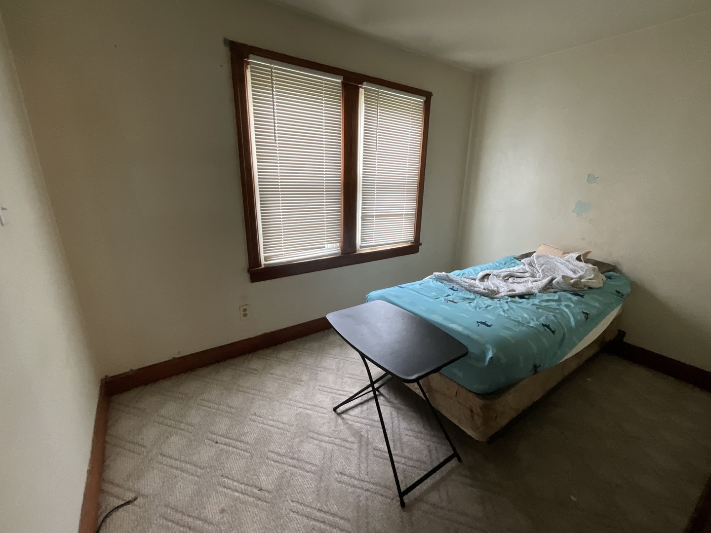 213 Maple Street Odin, IL 62870 - Photo 5 of 9