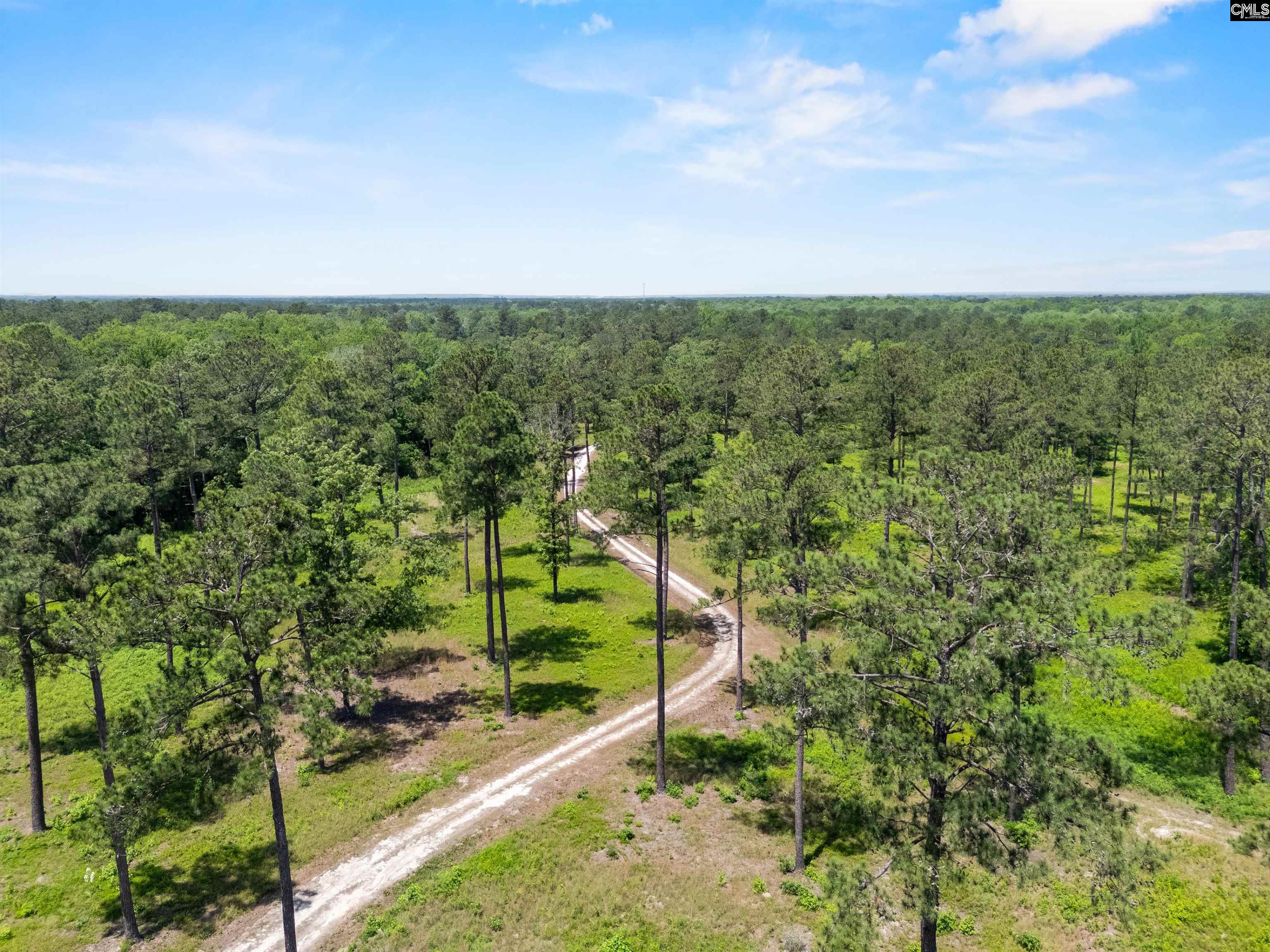 1626-01 Sumter Highway Rembert, SC 29128 - Photo 2 of 16