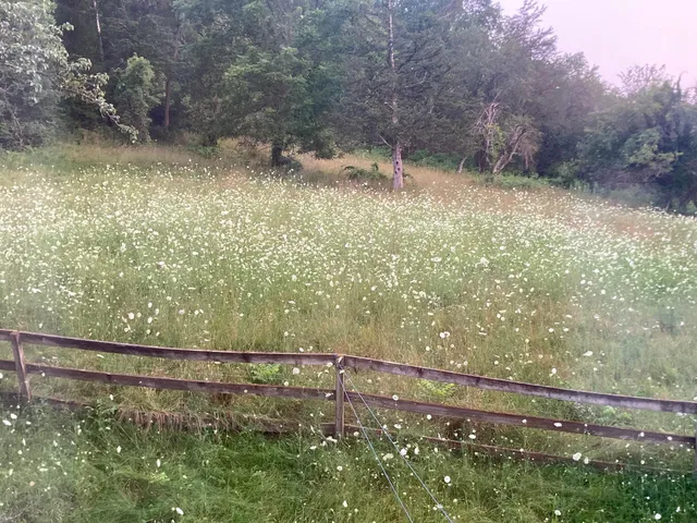 $1,050,000 | 36415 Homer Valley Lane, Winona, MN 55987