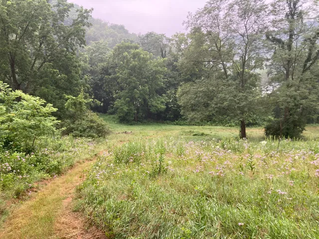 $1,050,000 | 36415 Homer Valley Lane, Winona, MN 55987