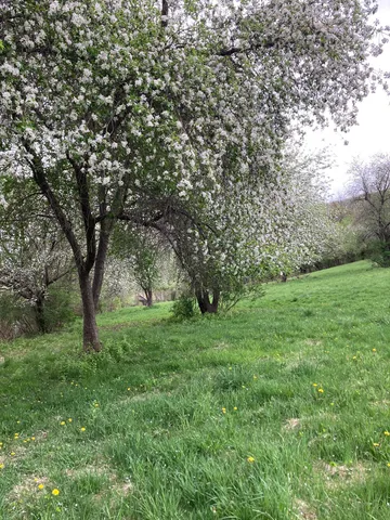 $1,050,000 | 36415 Homer Valley Lane, Winona, MN 55987