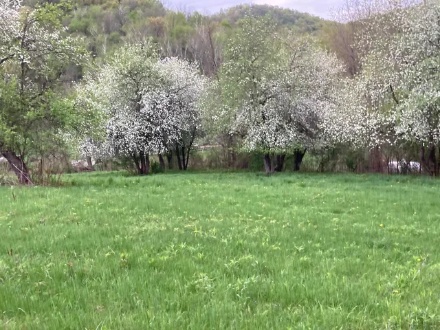 $1,050,000 | 36415 Homer Valley Lane, Winona, MN 55987