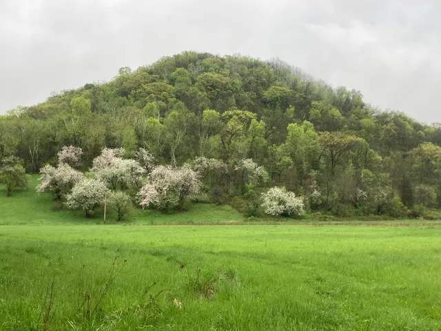 $1,050,000 | 36415 Homer Valley Lane, Winona, MN 55987