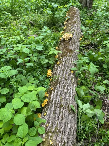 $1,050,000 | 36415 Homer Valley Lane, Winona, MN 55987