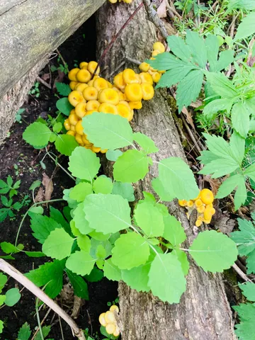 $1,050,000 | 36415 Homer Valley Lane, Winona, MN 55987