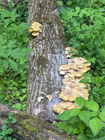 $1,050,000 | 36415 Homer Valley Lane, Winona, MN 55987